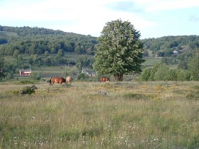 munte, cazare, drumetii